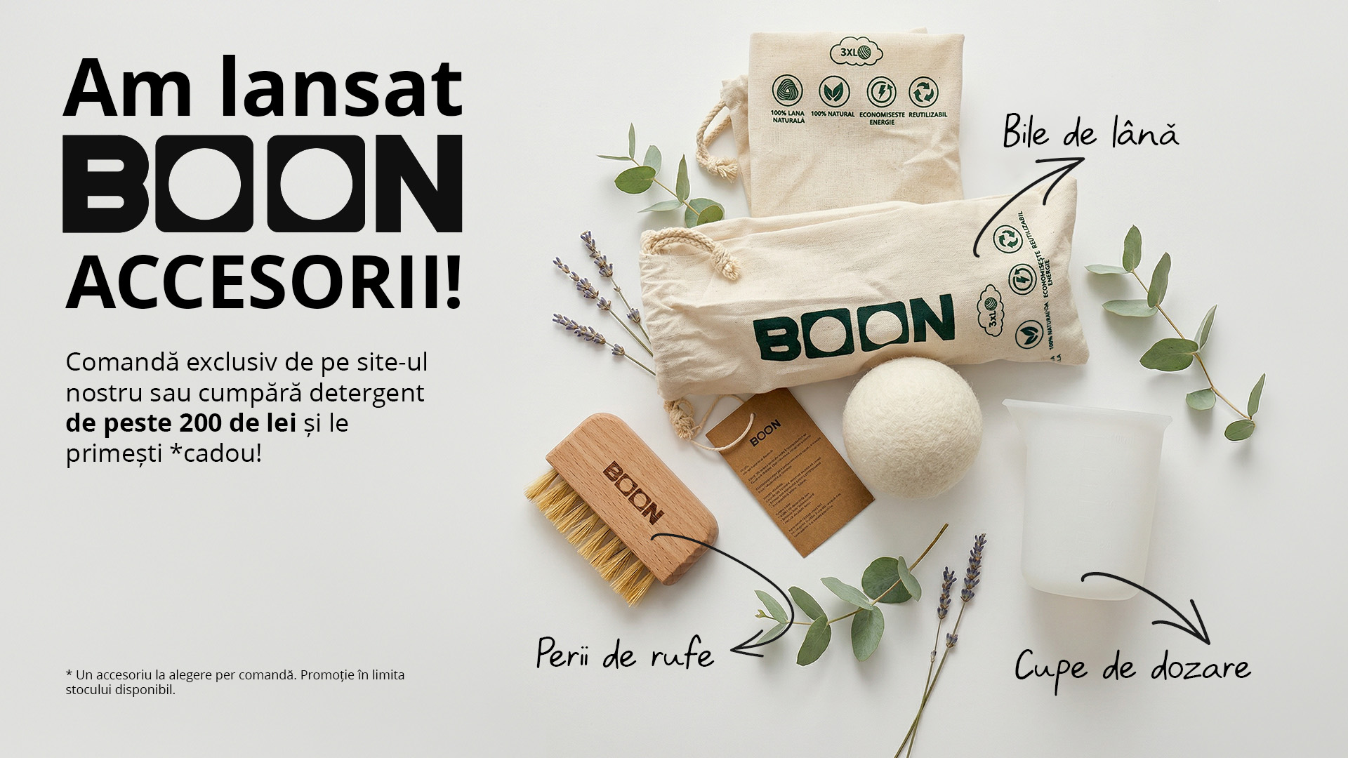 BOON Accesorii.jpg